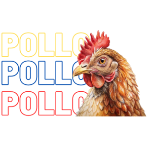 Pollo